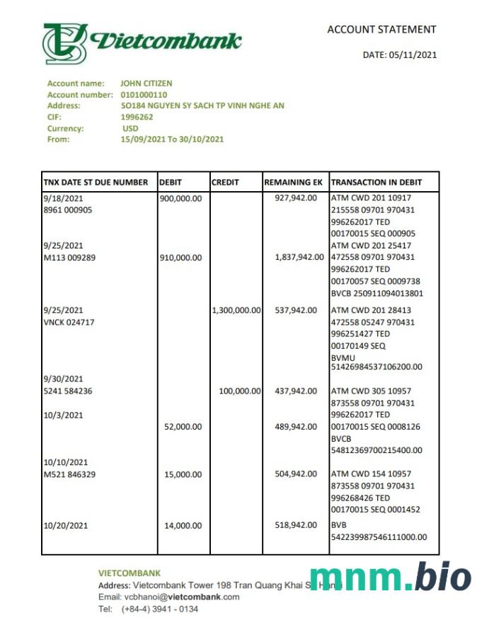 Szablon wyciągu Vietnam Techcombank w programie Word i PDF